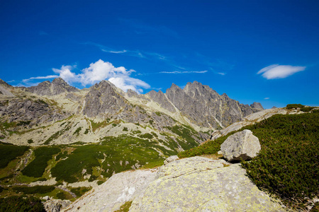 美丽的 Velka 学生 Dolina在斯洛伐克高 Tatra 山脉。美丽的夏季全景从飞鸟 Smokovec 通过 Hreb