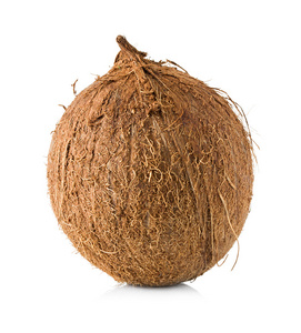 孤立的白色背景上的椰子特写