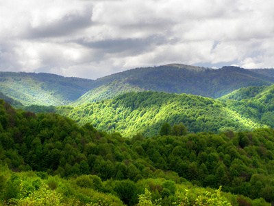 美丽的夏天山现场照片