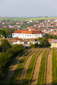 Cejkovice 与葡萄园，捷克共和国