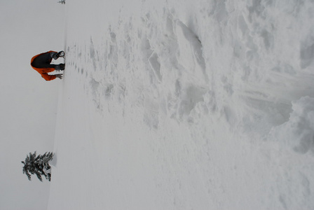 在雪中跟踪对顶部和旅游