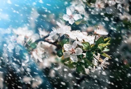 春天雨图片-春天雨素材-春天雨插画-摄图新视界