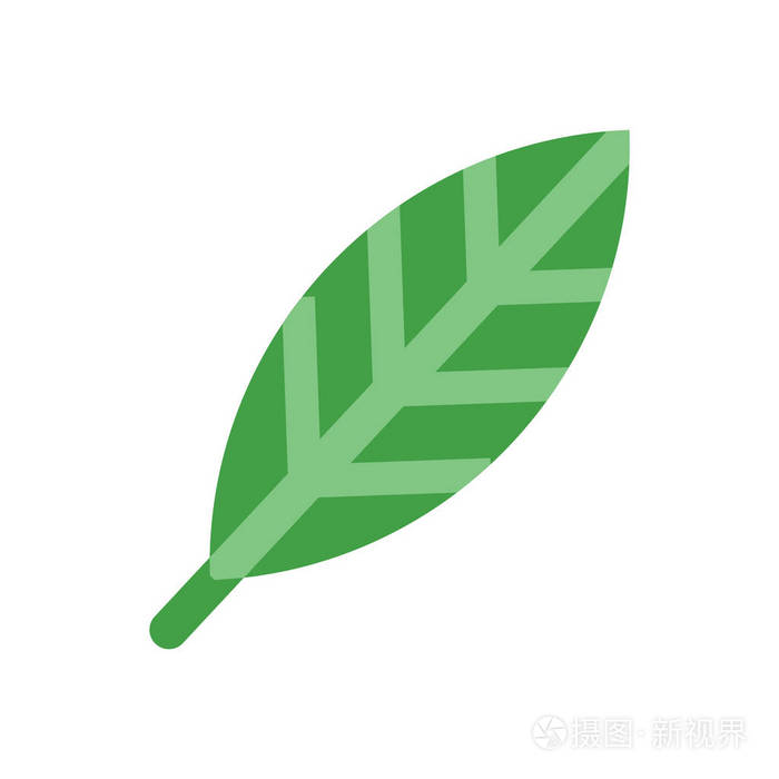 在白色背景,叶子符号,历史上隔离的叶形图标向量