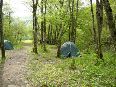 旅游帐篷露营地在森林中