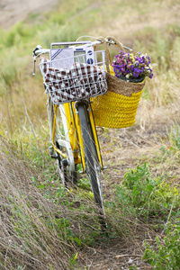 自行车与草甸在日落花篮
