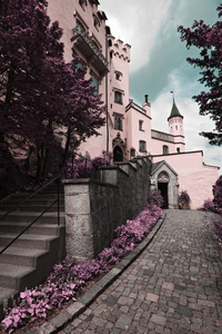 德国著名的旧天鹅城堡
