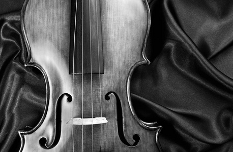 丝绸背景上的小提琴黑白相间。顶部视图。特写