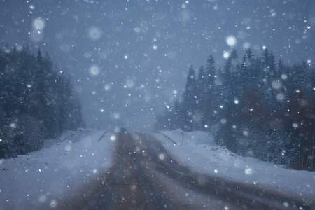 冬日的雪与雾, 冬日寂寞的风景