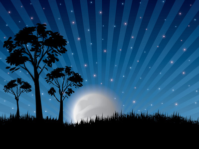 在自然的树木和月亮与抽象雷夜图片