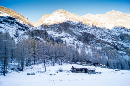 在雪地里山风景