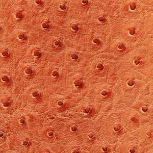 真皮纹理图片