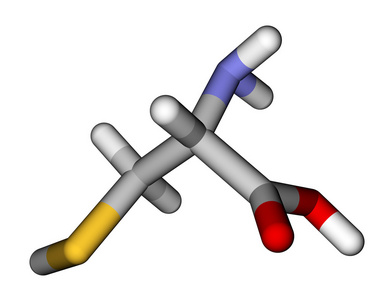 氨基酸半胱氨酸 3d 分子模型