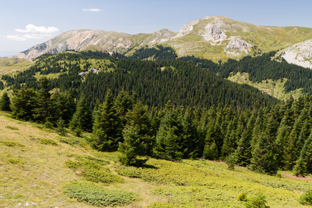 ilgaz 山脉，努土耳其