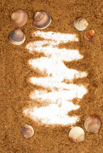 沙子和贝壳帧