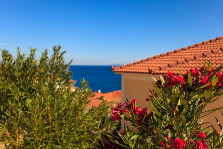 从高角度看在海滨希腊小镇的房屋屋顶。希腊, 地中海建筑