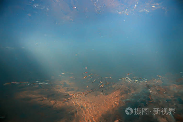 阳光下的水下照片/纹理水下景观与太阳光线, 蓝色的水太阳在海洋中