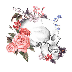 玫瑰和骷髅,一天死,矢量图照片