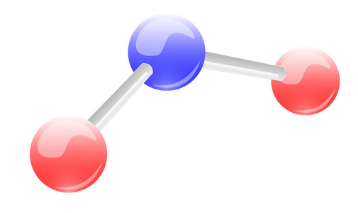 水分子