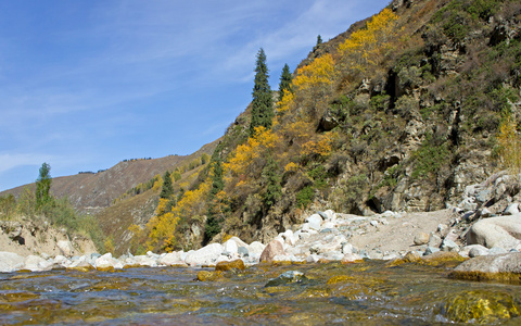 在阿尔卑斯山河流