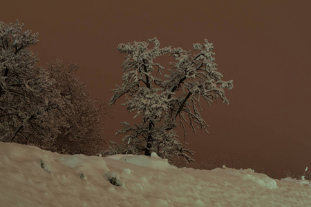 夜山全景雪