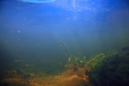 湖泊水下纹理, 水下照片淡水生态系统, 水纹理背景