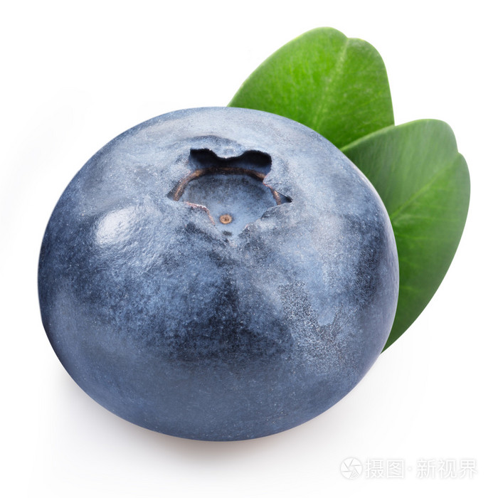 蓝莓