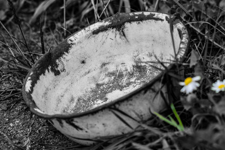 乡下草地上的老生锈的盘子, 动物的碗