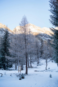 在雪地里山风景