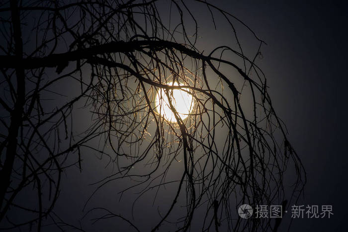 5184*3456px无水印下载免费10次/天下载小样发票合同问题/举报月光