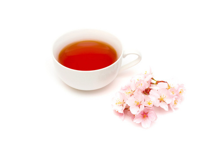 茶树花图片