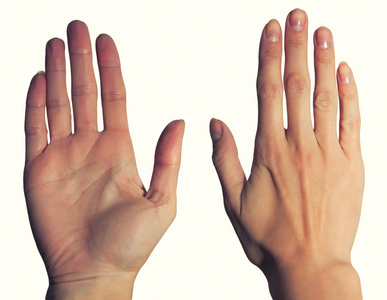 妇女的手, 掌和背照片