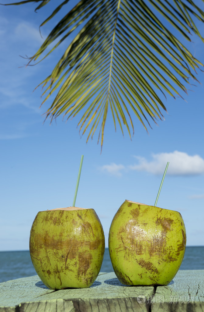 两个绿椰子棕榈树热带海