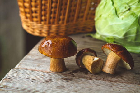 木桌带鲜白菜的森林蘑菇篮