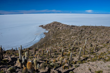 玻利维亚 salar de 乌尤尼岛印加 澎湖