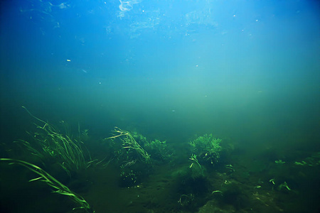 水下山清澈的河流, 水下照片中的淡水河流, 快速水流, 气泡水, 水下