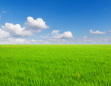 绿草和蓝蓝的天空白云图片