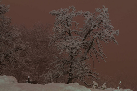 夜山全景雪