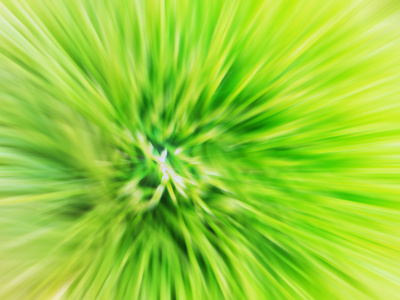抽象的绿色背景