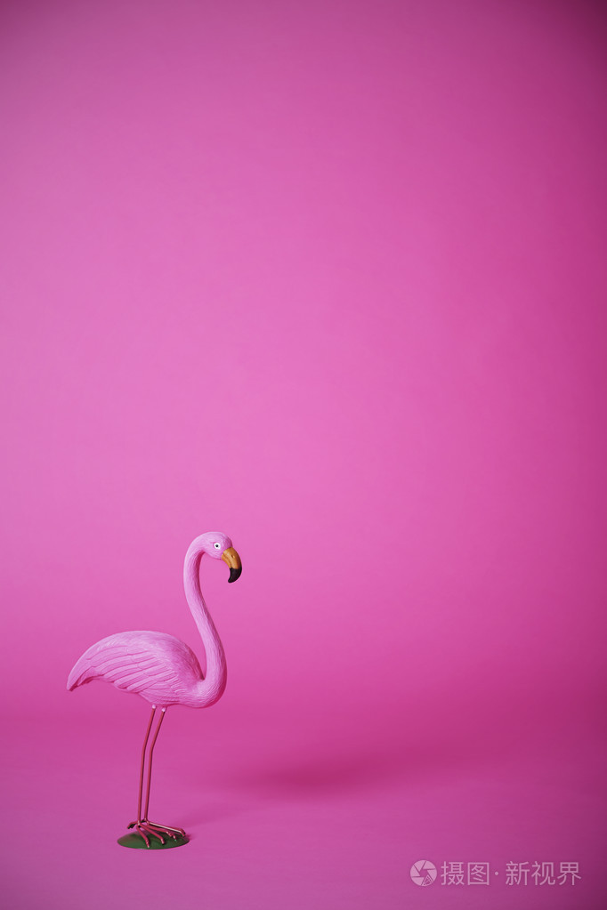 粉红色的火烈鸟在工作室