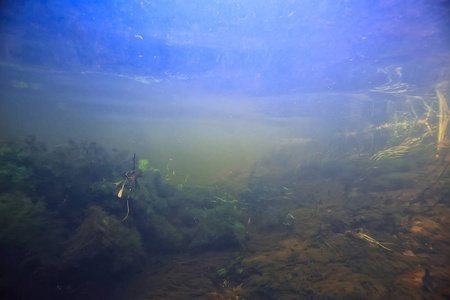 水下山清澈的河流, 水下照片中的淡水河流, 快速水流, 气泡水, 水下生态系统景观