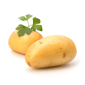 新的马铃薯和绿色欧芹