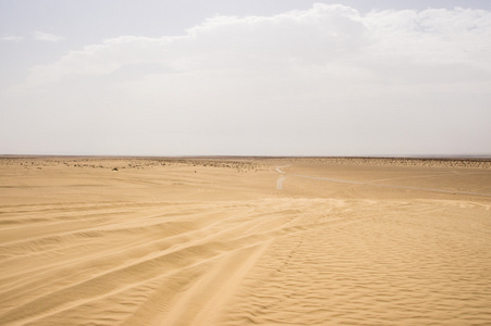 沙漠撒哈拉