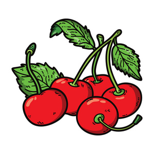 可爱樱桃可爱的樱桃照片