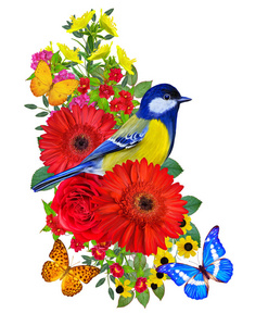 鲜艳的玫瑰图片