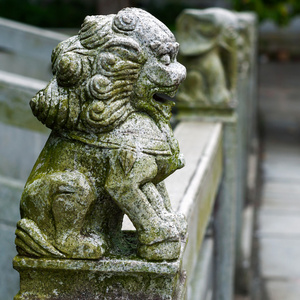 中国一座桥上的狮子雕像