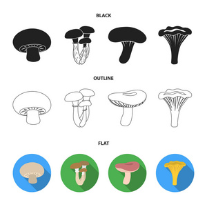 香菇, 蜂蜜, 伞, 菇, 油。集合图标在卡通风格矢量符号股票插图网站