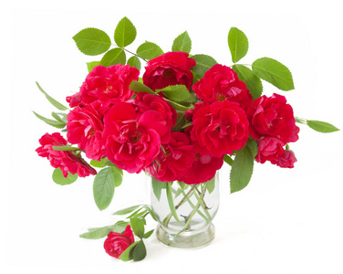 红玫瑰束在孤立的白色背景上的花瓶里