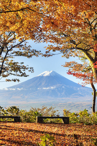 与秋天颜色在日本富士山