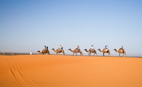 经历着沙子的骆驼商队图片