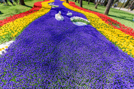 传统郁金香节在 Emirgan 公园, 一个历史的城市公园位于 Sariyer 区。游客和当地人参观和花费时间。伊斯坦布尔, 土